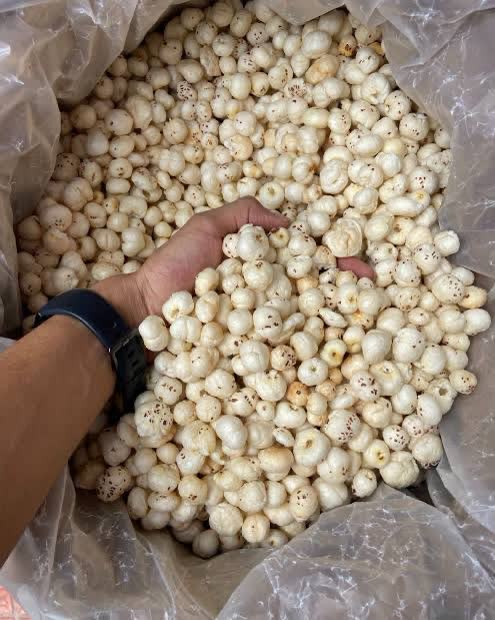 5 Suta Makhana lifted by hand from a bulk sack