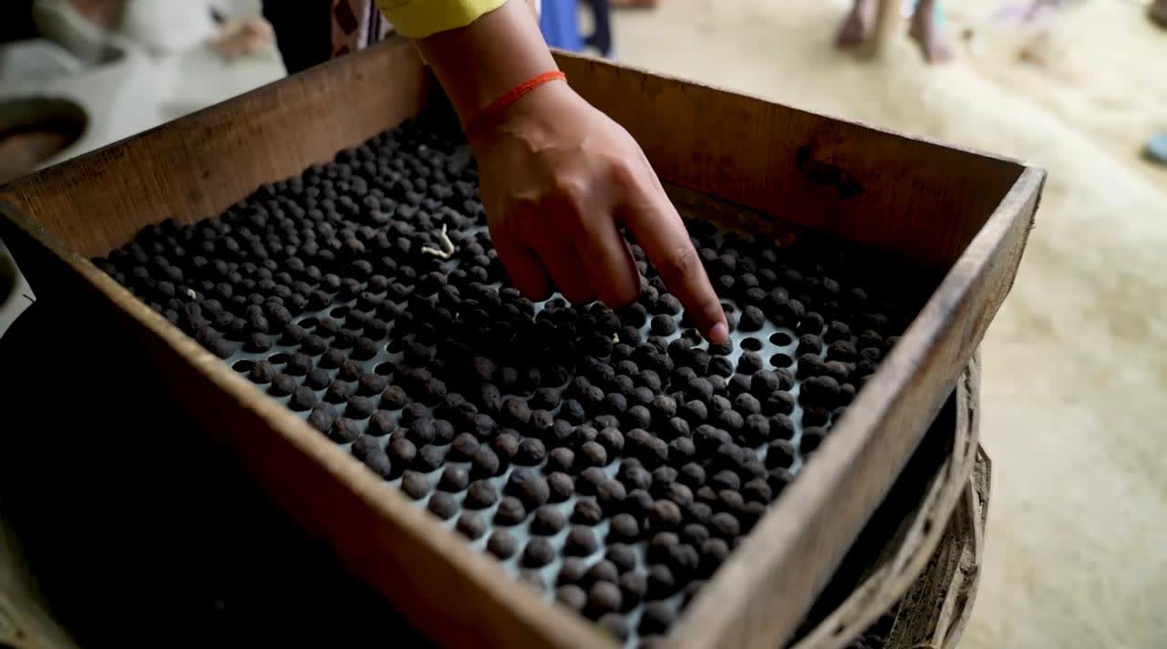 Seed Grading stage of Makhana production