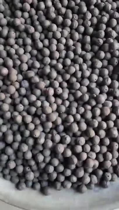 Popping stage of Makhana production
